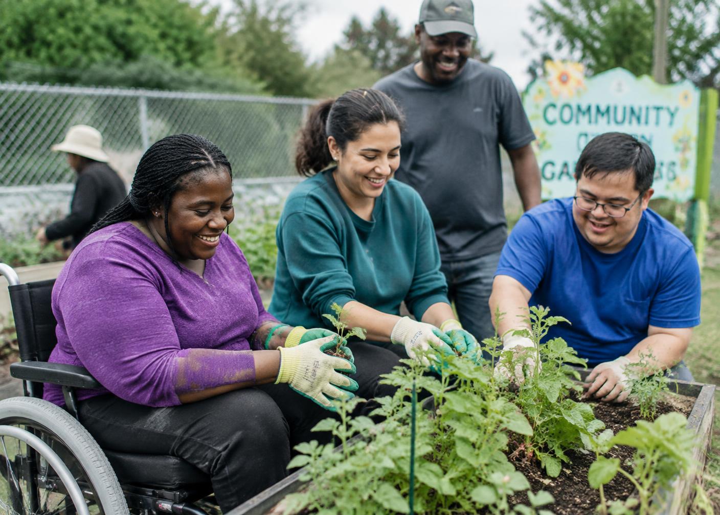 Adults of different abilities planting seedlings together at a community garden